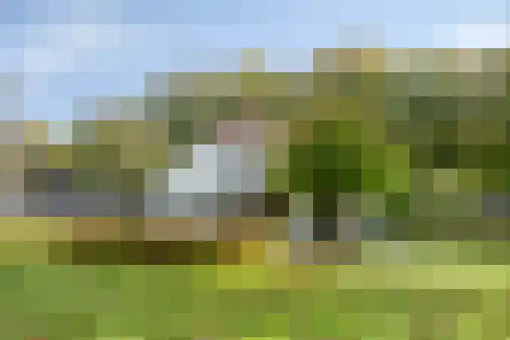 Norgerweg 138 Yde thumbnail 67