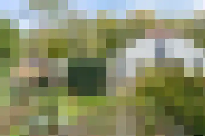 Norgerweg 138 Yde thumbnail 68