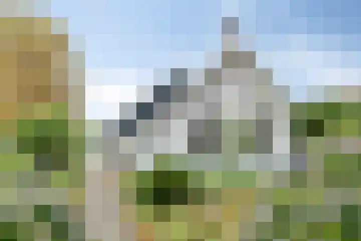Norgerweg 138 Yde thumbnail 7