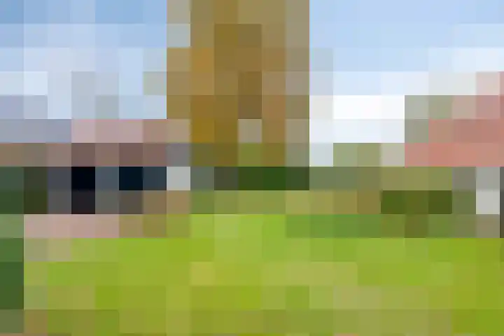 Norgerweg 138 Yde thumbnail 72