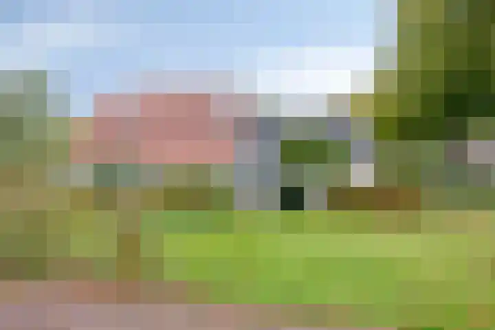 Norgerweg 138 Yde thumbnail 9