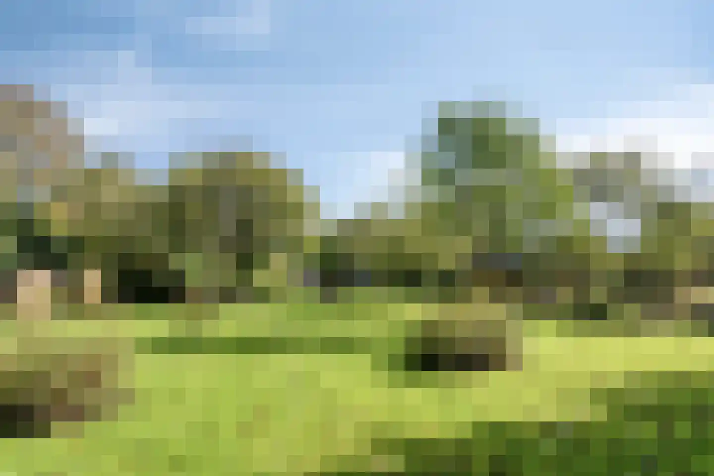 Norgerweg 143 Yde thumbnail 99