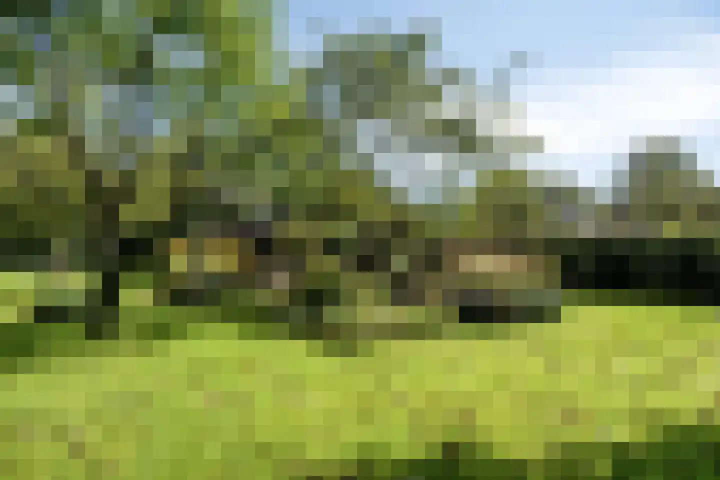 Norgerweg 143 Yde thumbnail 100