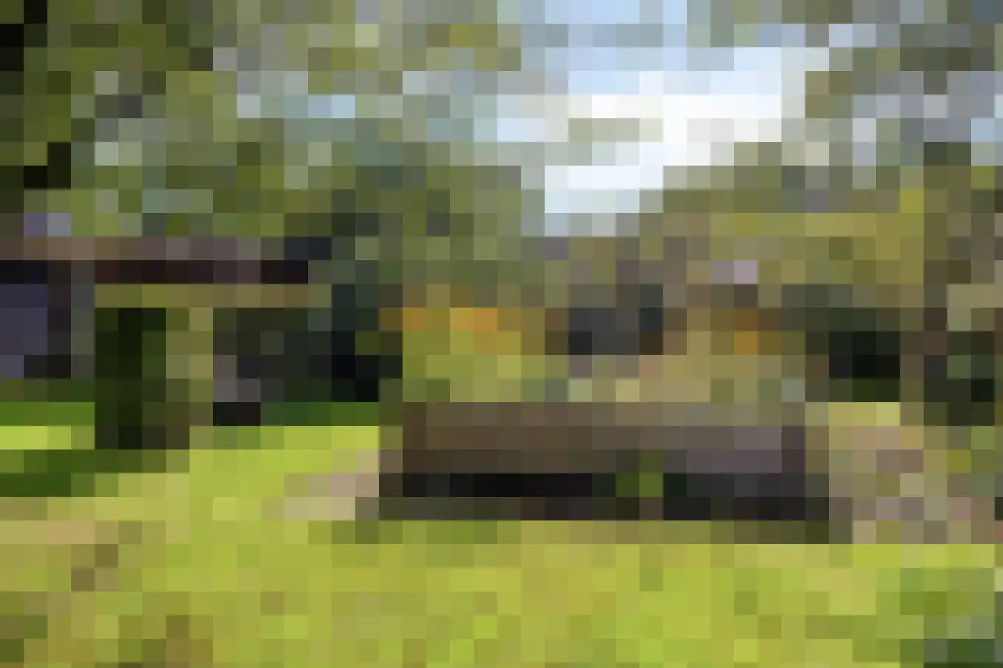 Norgerweg 143 Yde thumbnail 101