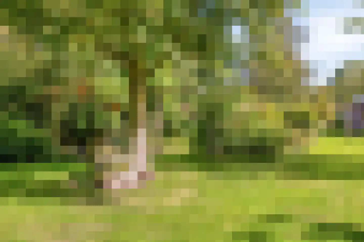Norgerweg 143 Yde thumbnail 102