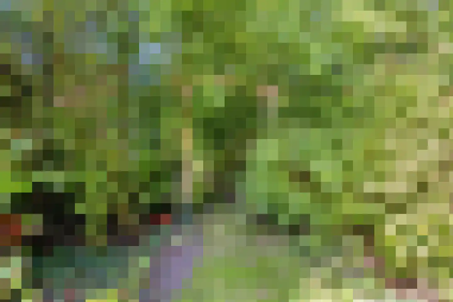 Norgerweg 143 Yde thumbnail 105