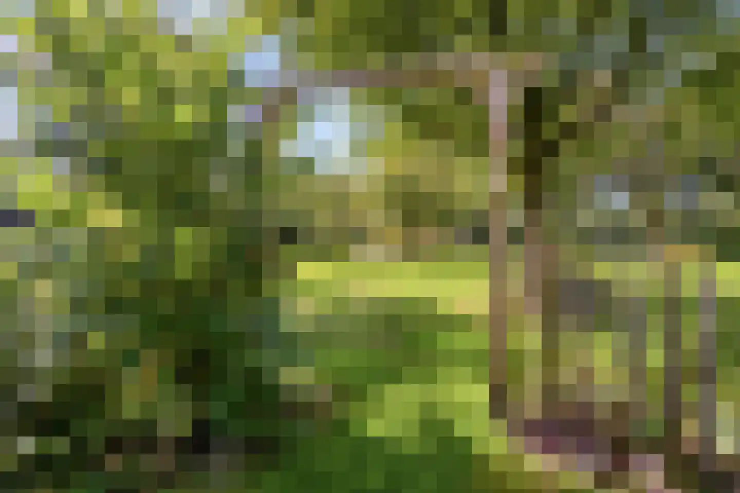Norgerweg 143 Yde thumbnail 106