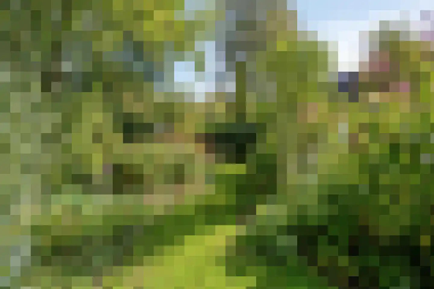 Norgerweg 143 Yde thumbnail 107