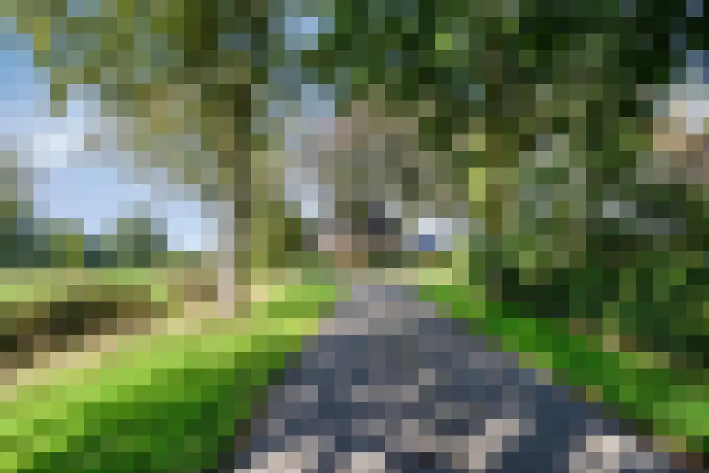 Norgerweg 143 Yde thumbnail 111