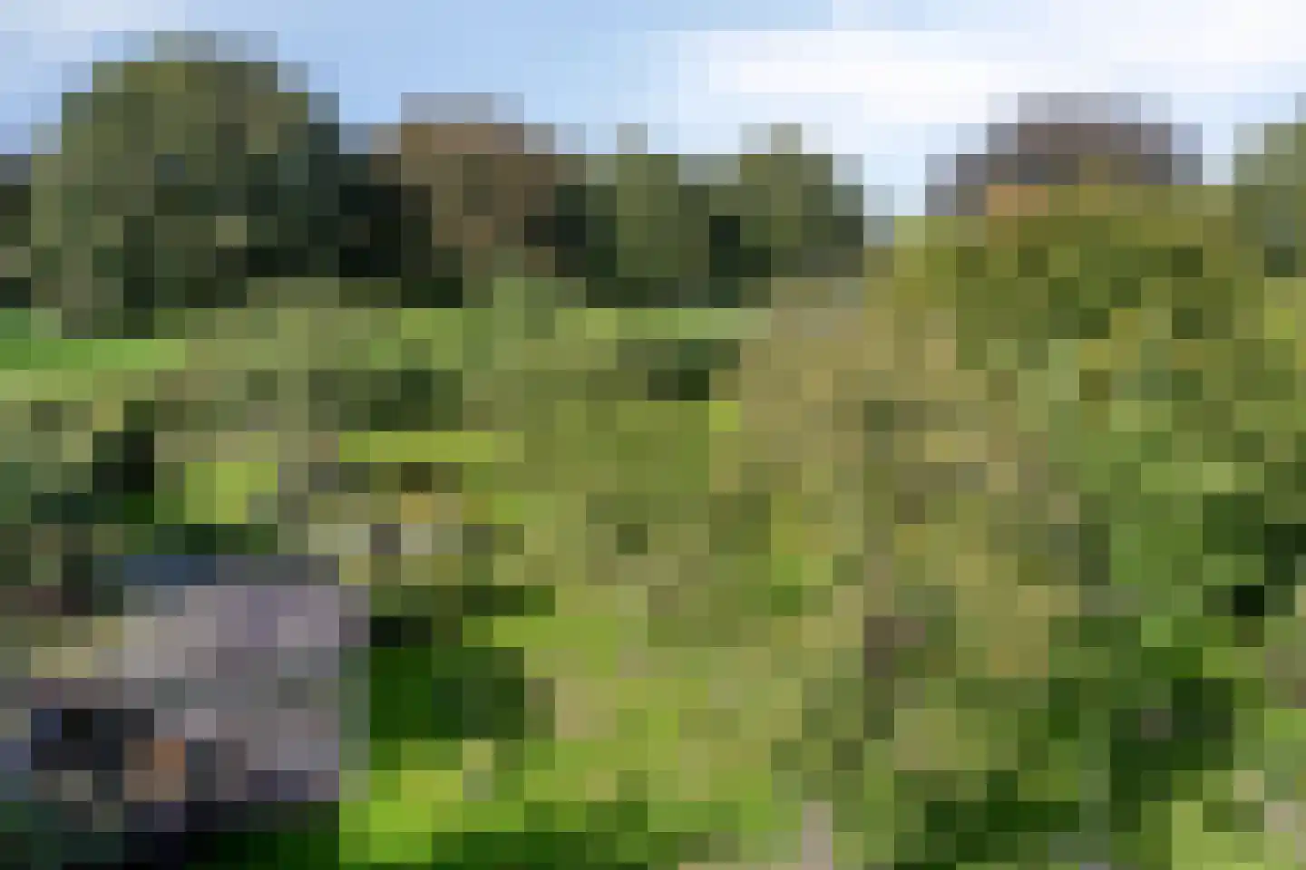 Norgerweg 143 Yde thumbnail 12