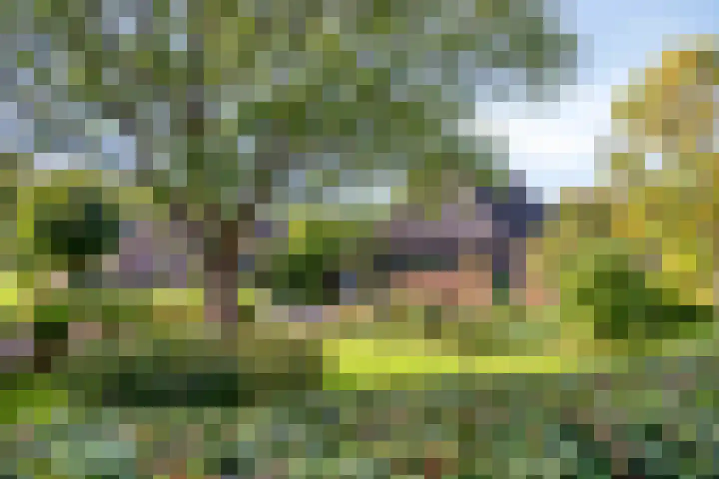 Norgerweg 143 Yde thumbnail 17