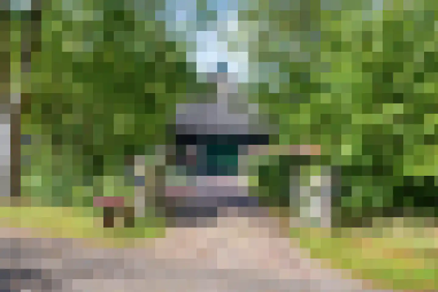 Norgerweg 143 Yde thumbnail 19