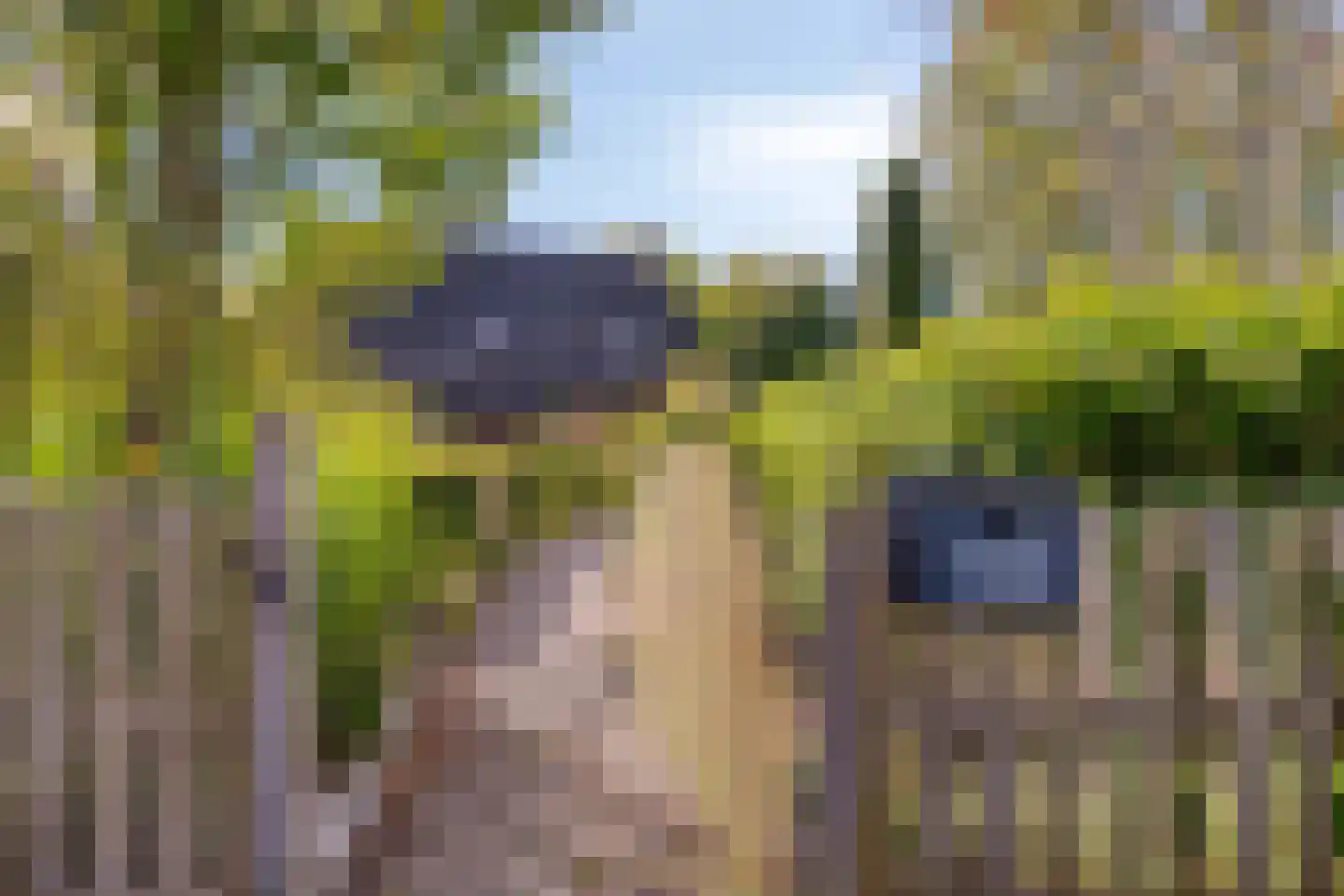 Norgerweg 143 Yde thumbnail 20