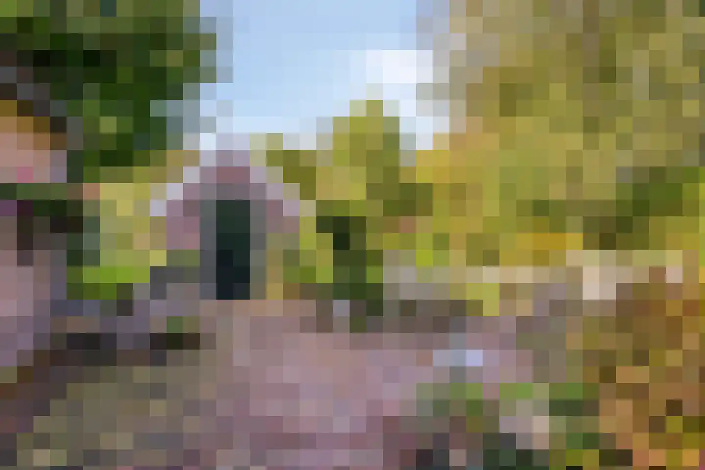Norgerweg 143 Yde thumbnail 22