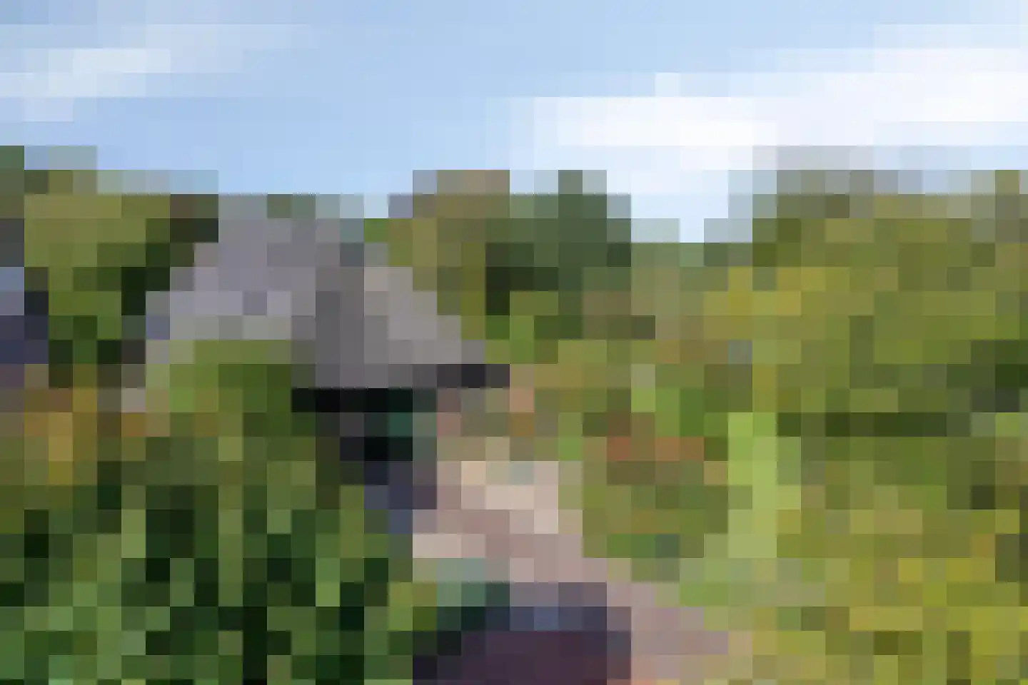 Norgerweg 143 Yde thumbnail 78