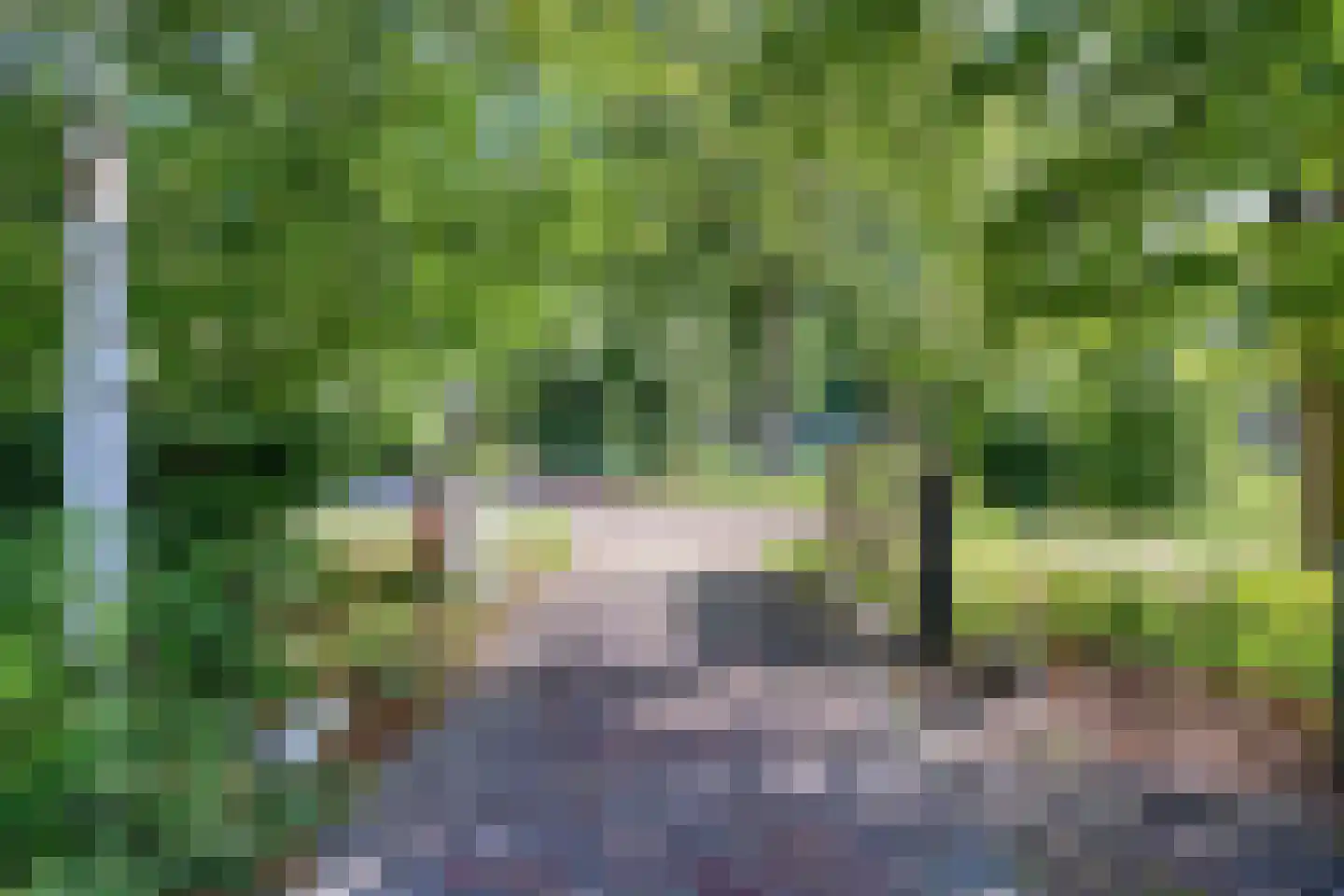 Norgerweg 143 Yde thumbnail 81
