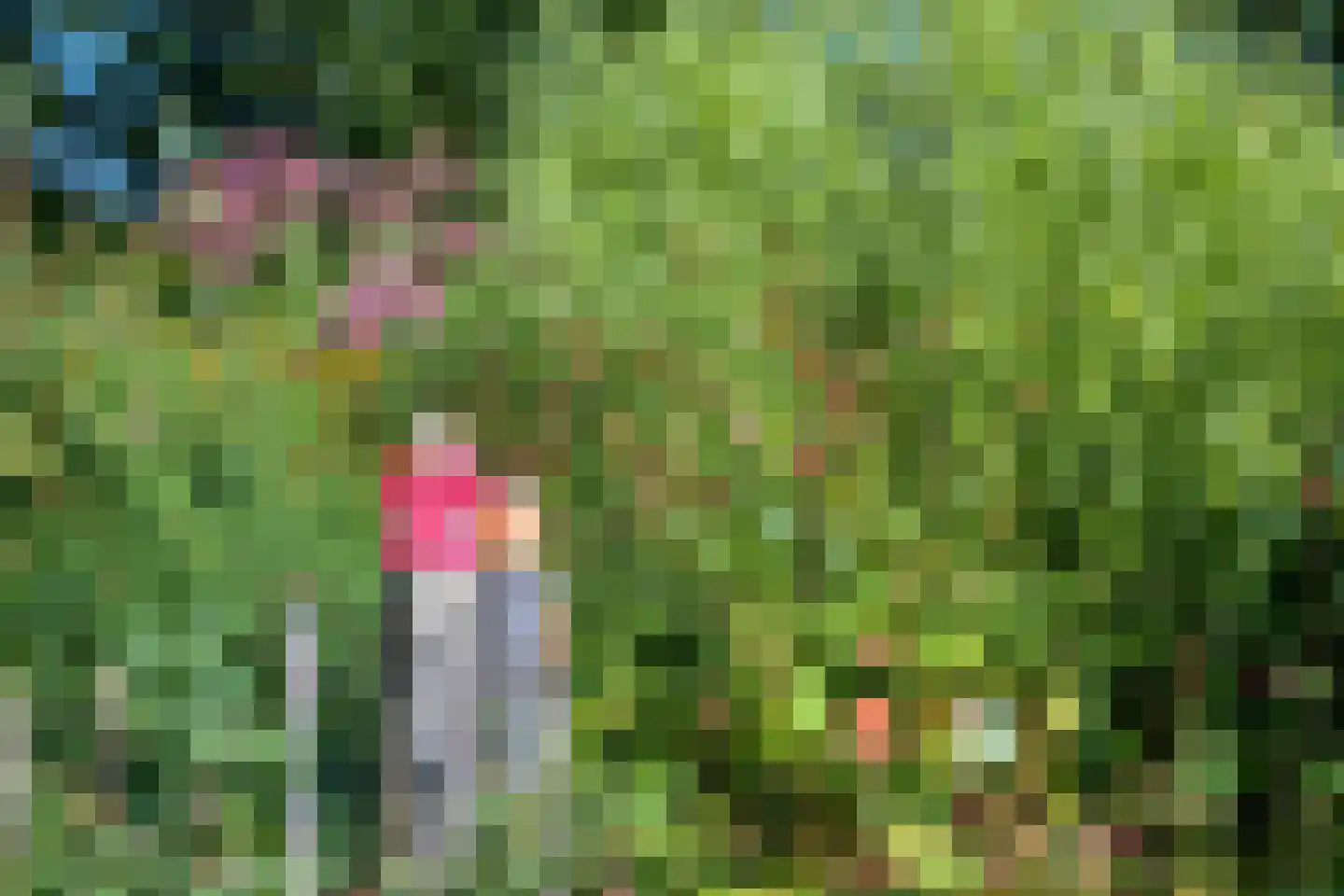Norgerweg 143 Yde thumbnail 82