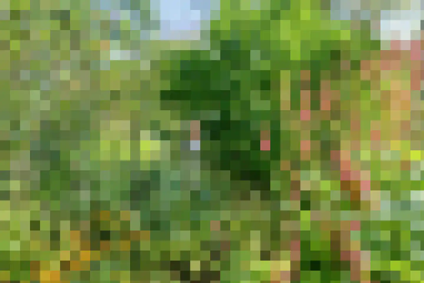 Norgerweg 143 Yde thumbnail 84