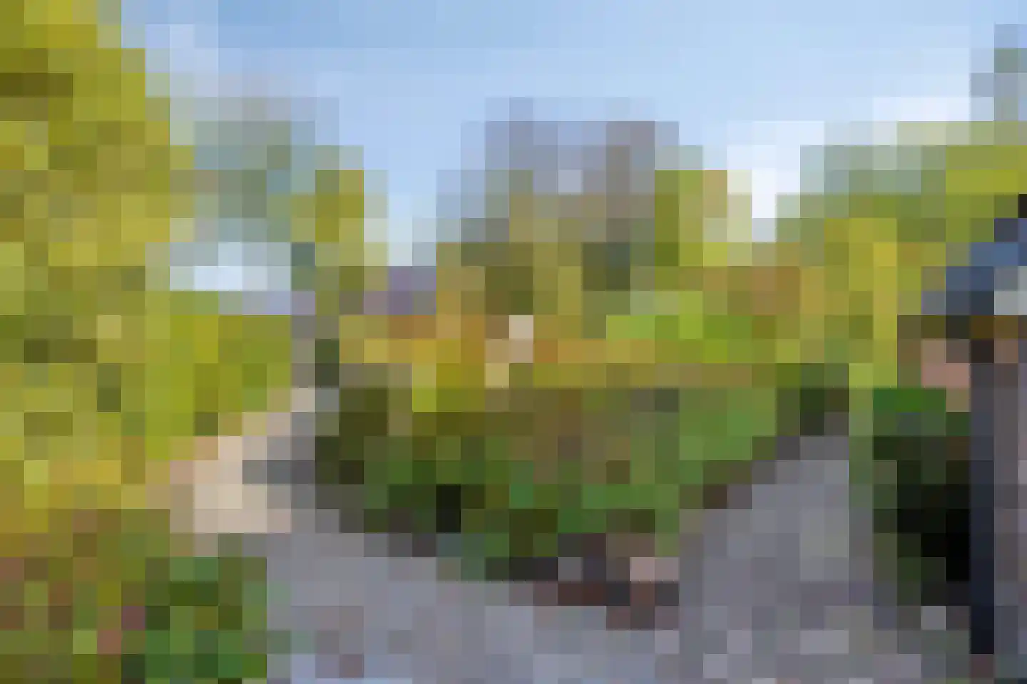 Norgerweg 143 Yde thumbnail 85