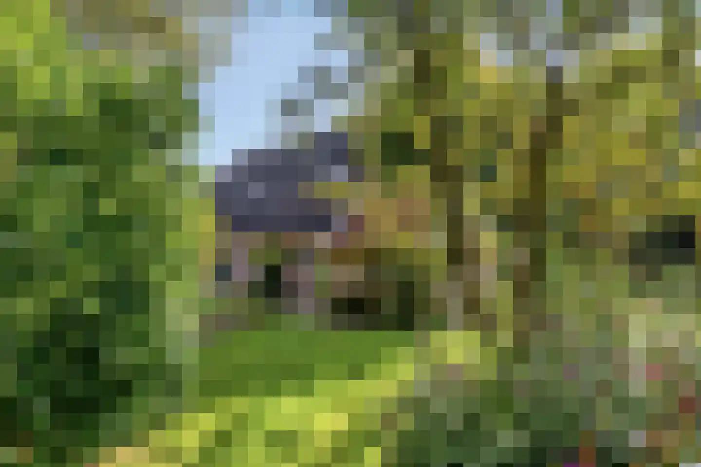 Norgerweg 143 Yde thumbnail 86