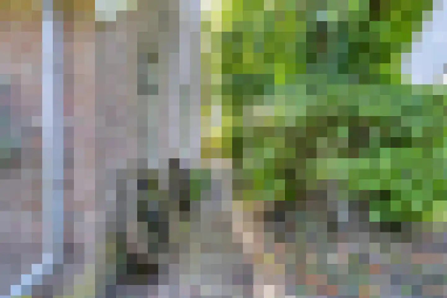 Norgerweg 143 Yde thumbnail 87