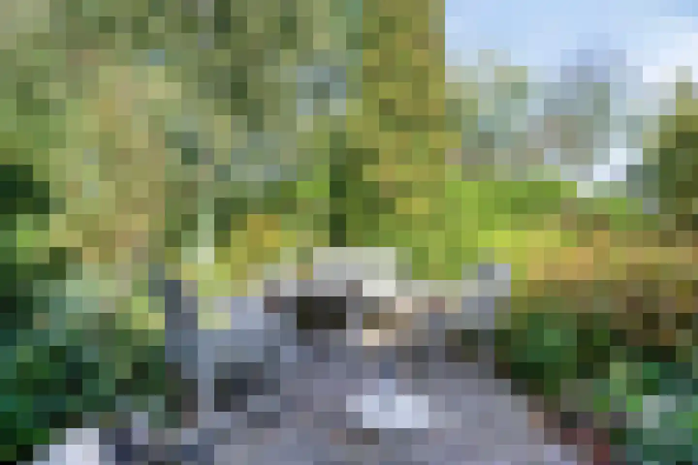 Norgerweg 143 Yde thumbnail 88