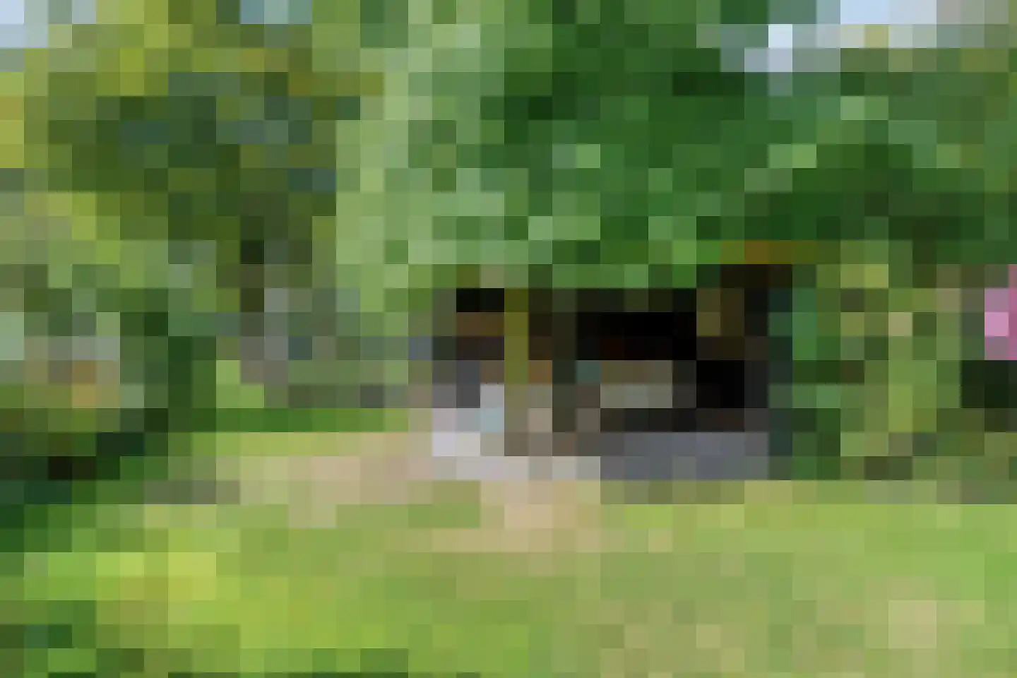 Norgerweg 143 Yde thumbnail 93