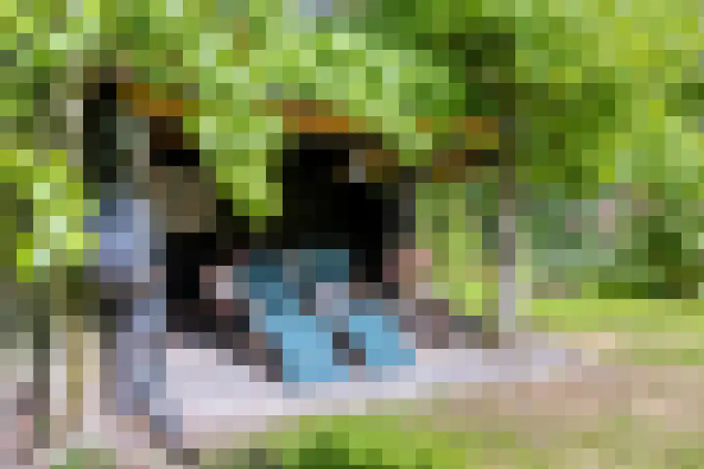 Norgerweg 143 Yde thumbnail 94