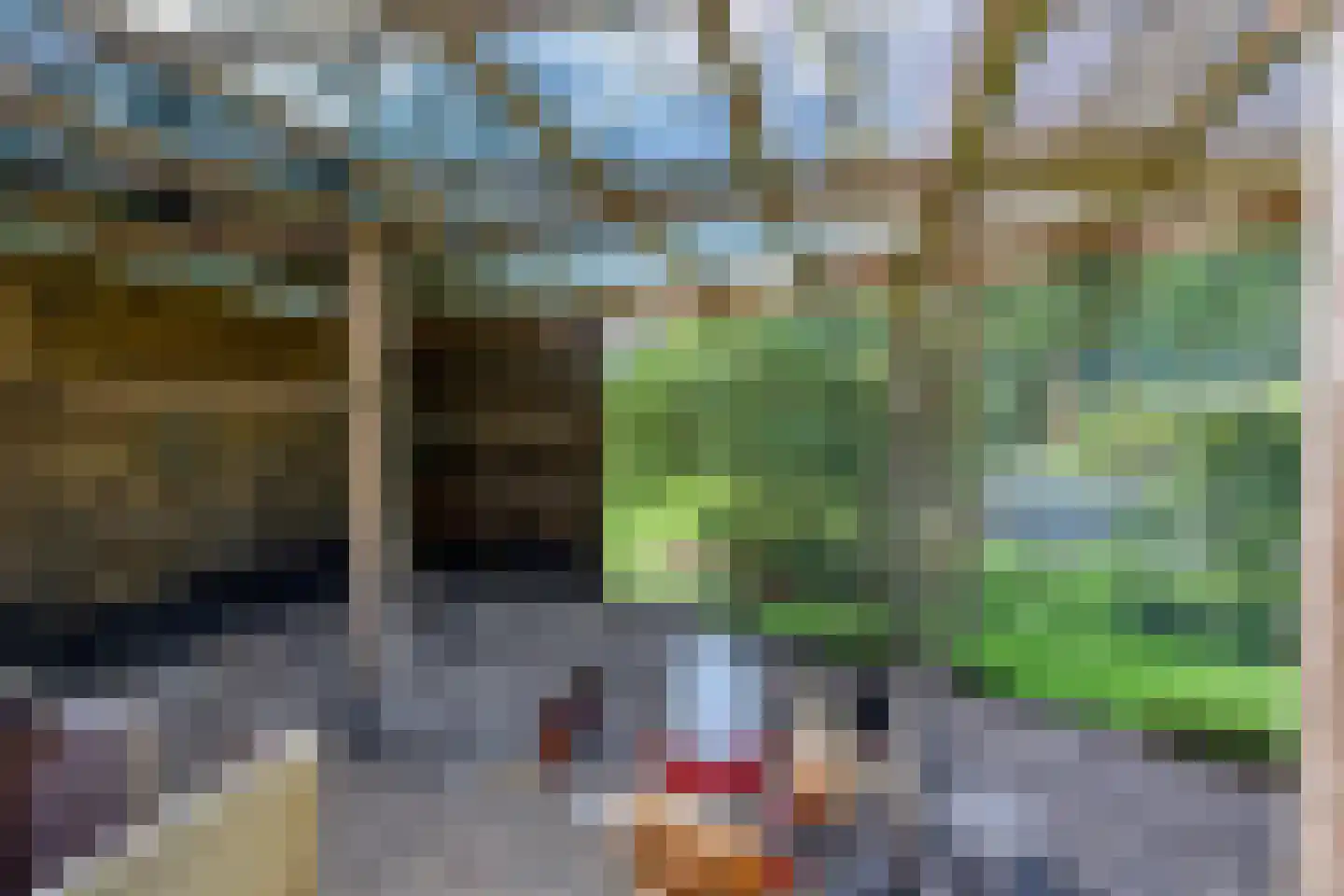 Norgerweg 143 Yde thumbnail 97