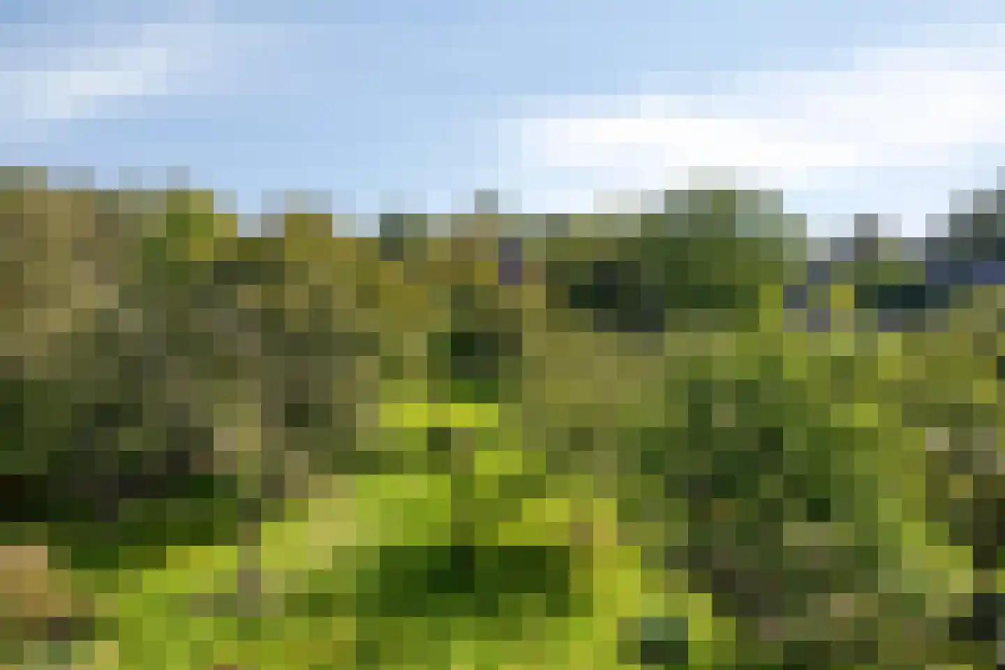 Norgerweg 143 Yde thumbnail 98
