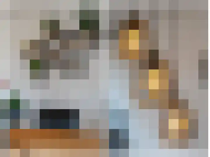 Norgerweg 15 De Punt thumbnail 27