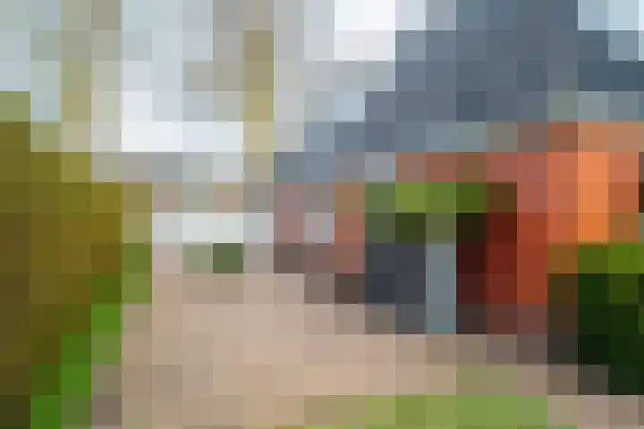 Norgerweg 15 De Punt thumbnail 52