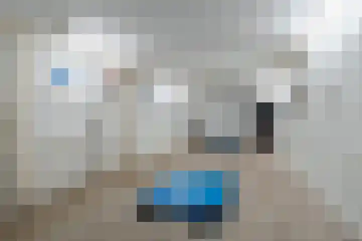Norgerweg 15 De Punt thumbnail 62