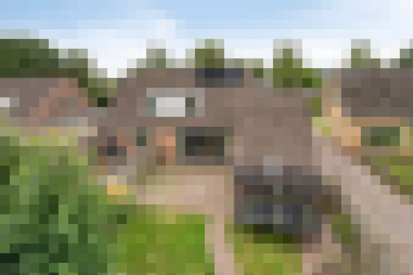 Norgerweg 17 Een thumbnail 49