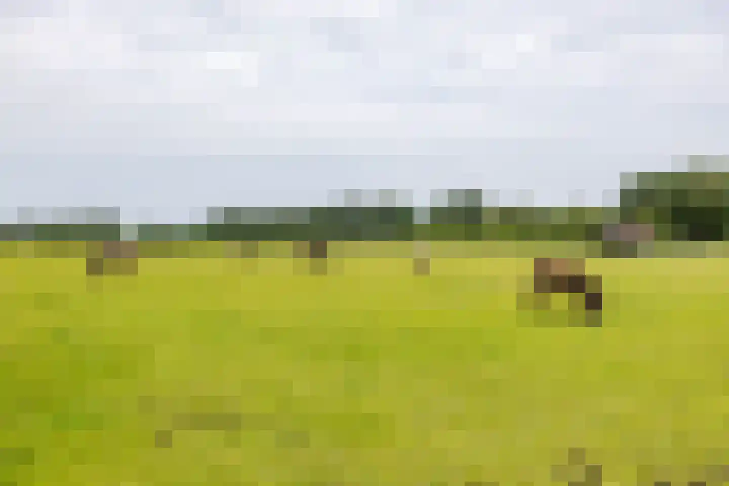 Norgerweg 210 Donderen thumbnail 10