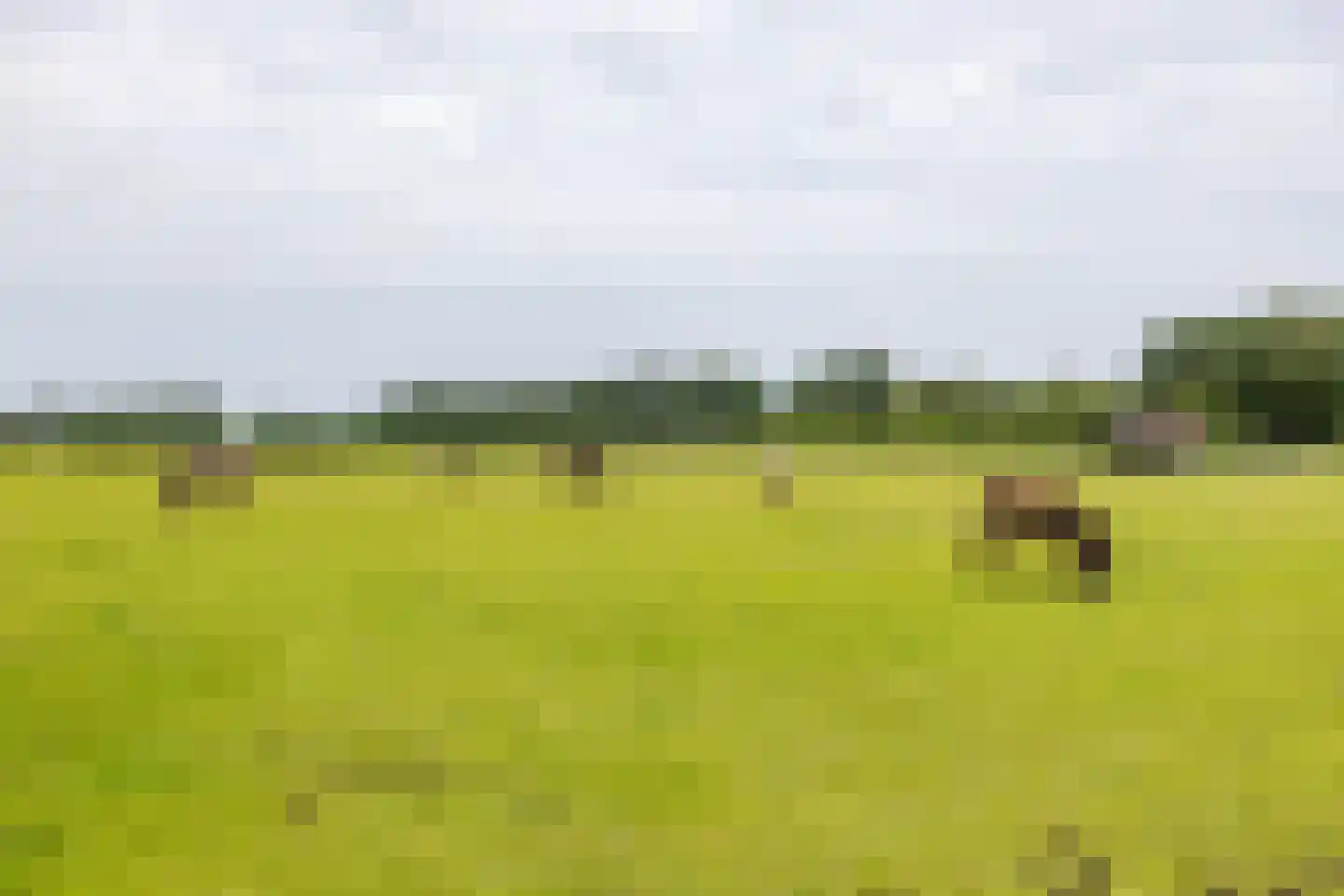 Norgerweg 210 Donderen thumbnail 11