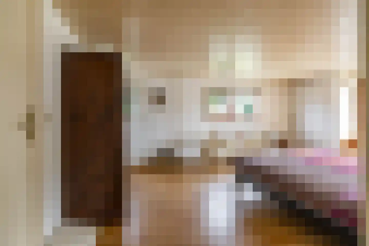 Norgerweg 210 Donderen thumbnail 42