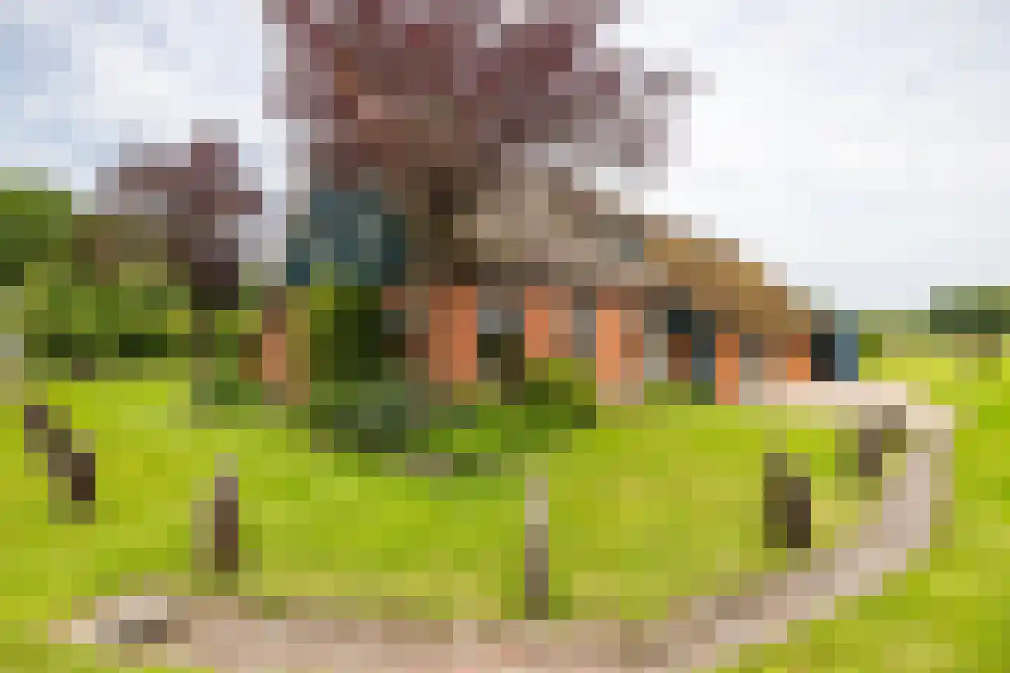 Norgerweg 210 Donderen thumbnail 5