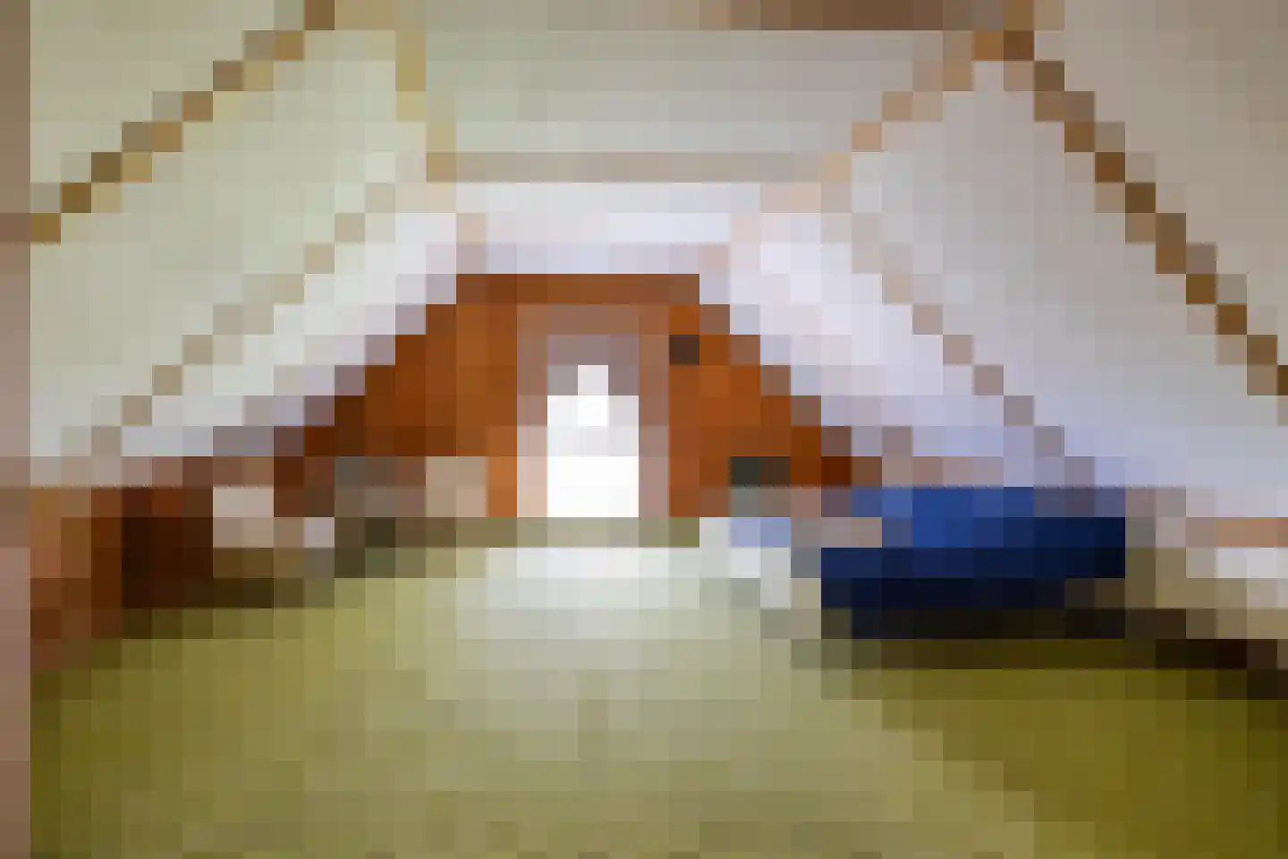 Norgerweg 210 Donderen thumbnail 61