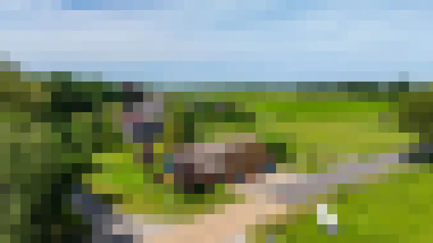 Norgerweg 210 Donderen thumbnail 69