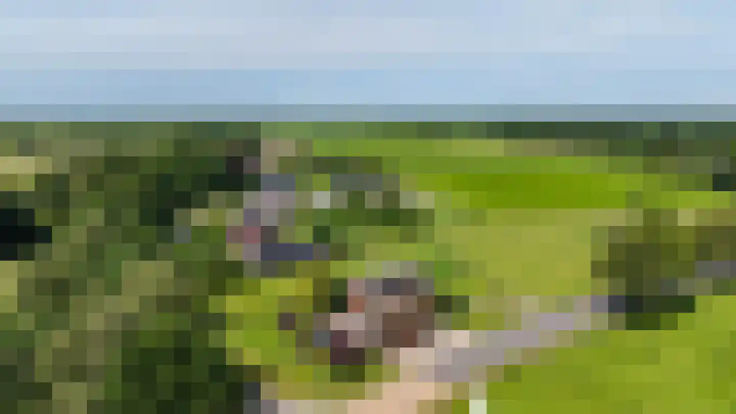 Norgerweg 210 Donderen thumbnail 70