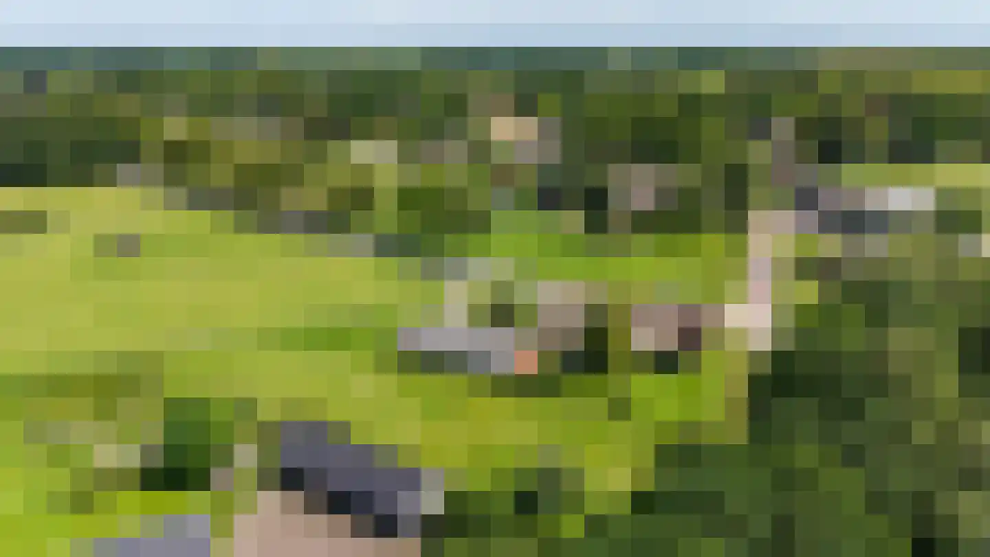 Norgerweg 210 Donderen thumbnail 71