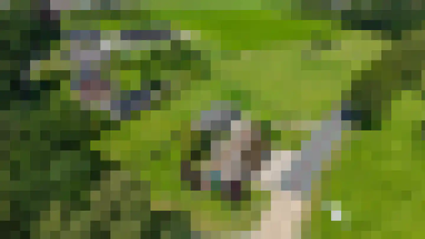 Norgerweg 210 Donderen thumbnail 73