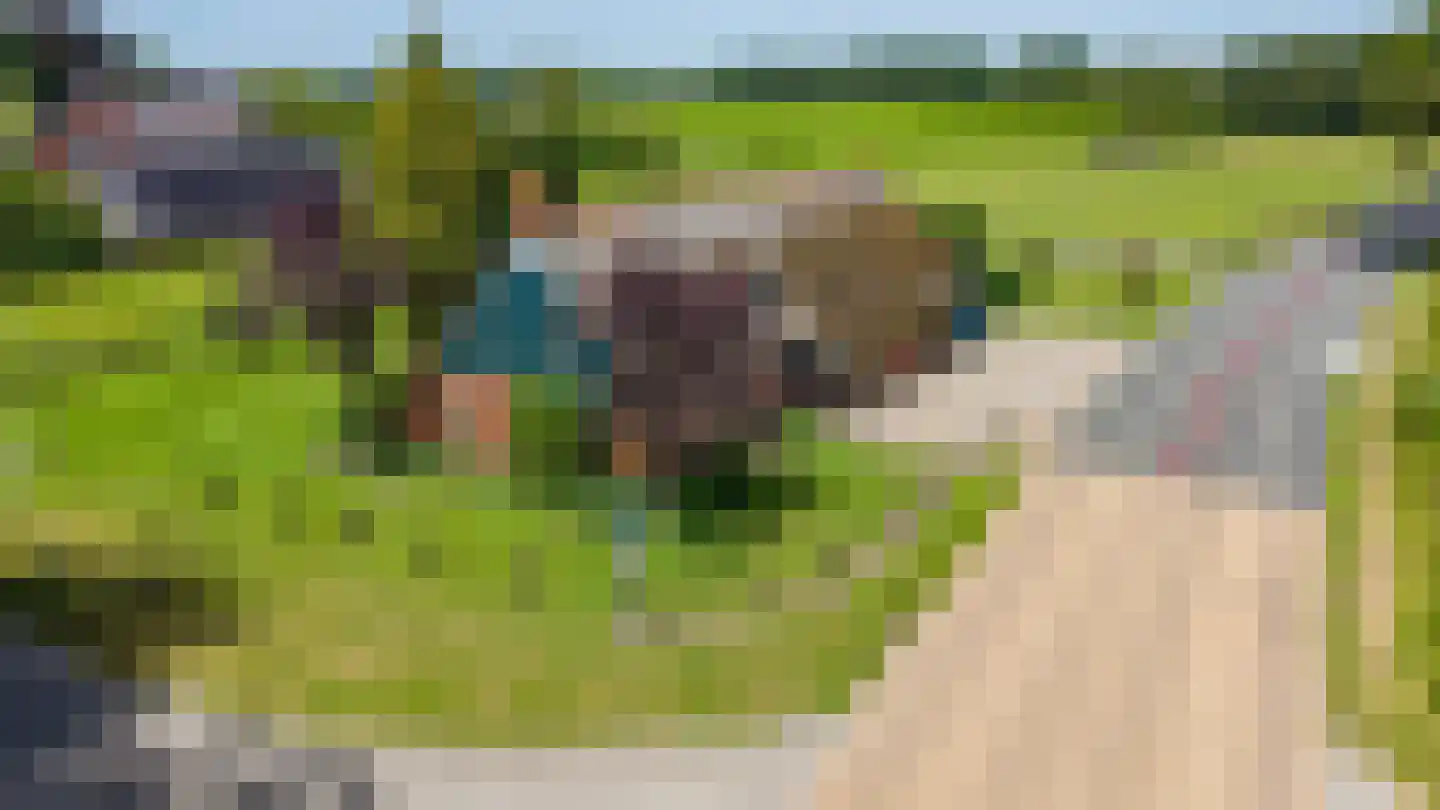 Norgerweg 210 Donderen thumbnail 74