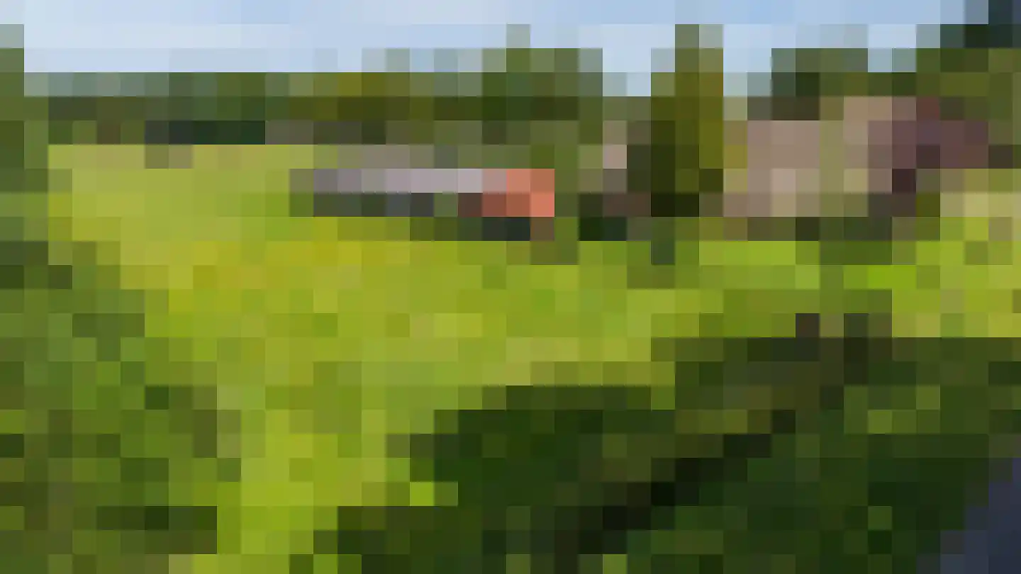 Norgerweg 210 Donderen thumbnail 75