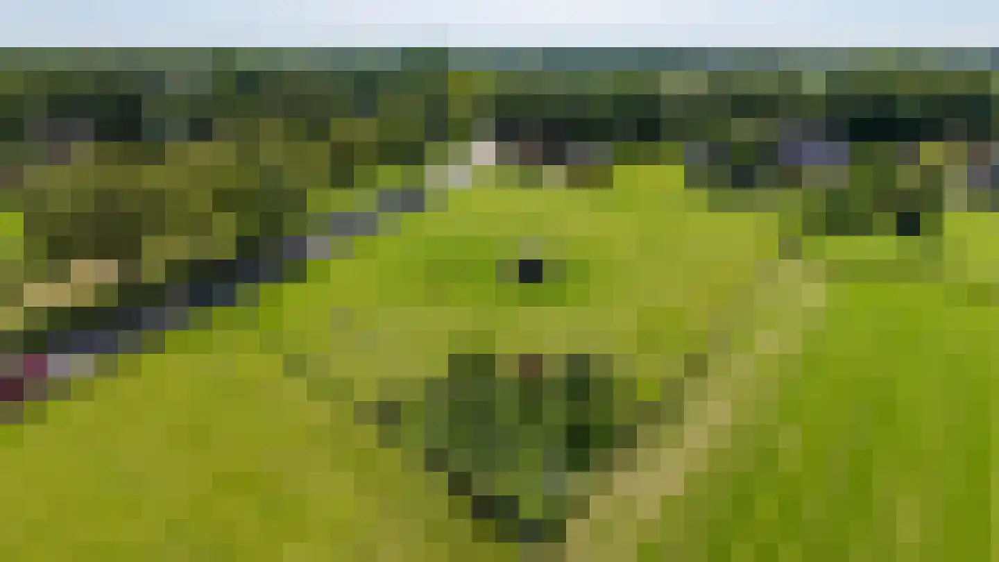 Norgerweg 210 Donderen thumbnail 76