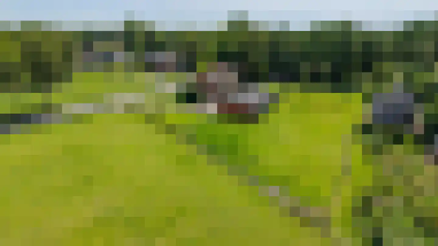 Norgerweg 210 Donderen thumbnail 77