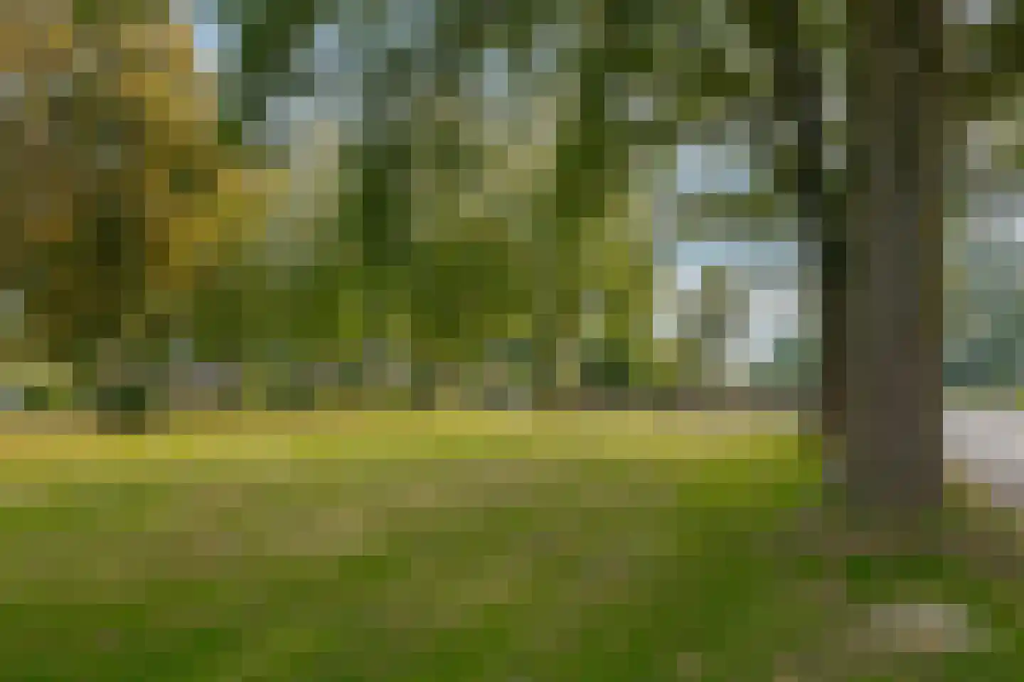Norgerweg 23 Een thumbnail 7