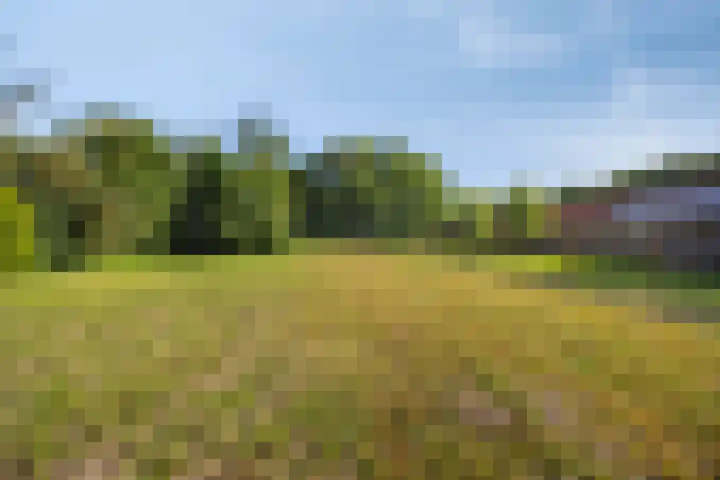 Norgerweg 52 Haulerwijk thumbnail 38