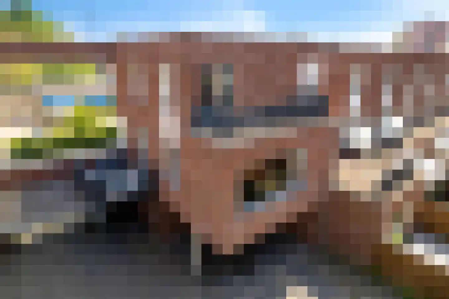 Norgstraat 41 Den Haag thumbnail 9